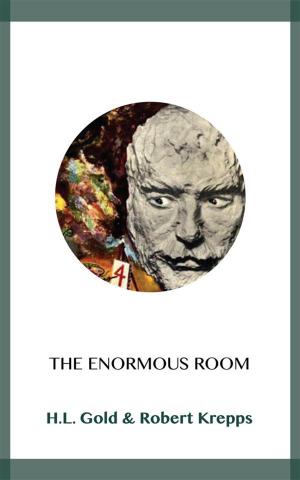 Cover of the book The Enormous Room by Terence Bumbly