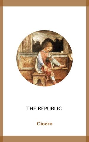 Cover of the book The Republic by John Stuart Hay
