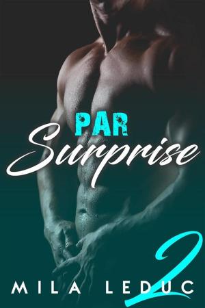Cover of Par Surprise - Tome 2