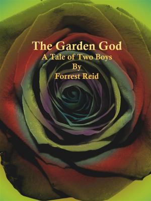 bigCover of the book The Garden God by 