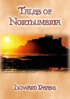 Book cover of TALES OF NORTHUMBRIA - 13 Tales from Northern England
