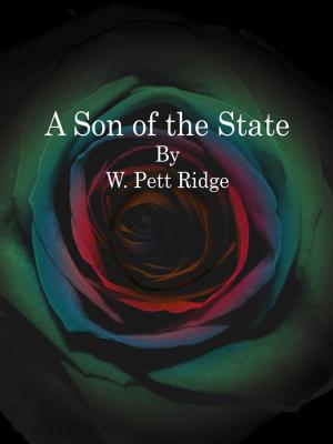 Cover of the book A Son of the State by Hulbert Footner