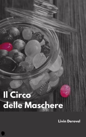 Book cover of Il Circo delle Maschere