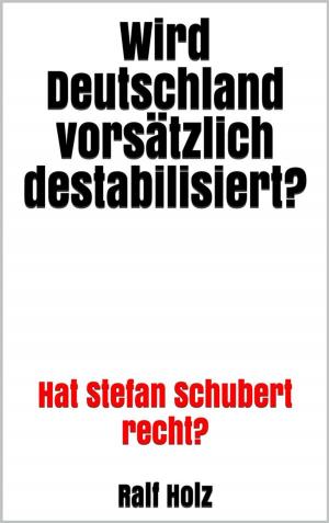 Cover of Wird Deutschland vorsätzlich destabilisiert?