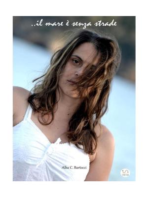 Cover of the book Il mare è senza strade by Nancy J. Ondra