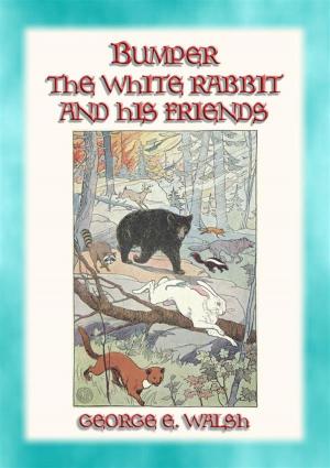 Book cover of BUMPER THE WHITE RABBIT AND FRIENDS - 16 illustrated stories of Bumper and his Friends