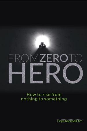 Book cover of From Zero to Hero