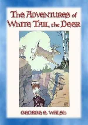 Cover of the book THE ADVENTURES OF WHITE TAIL THE DEER - with Bumper the Rabbit and Friends by Katie McKintie