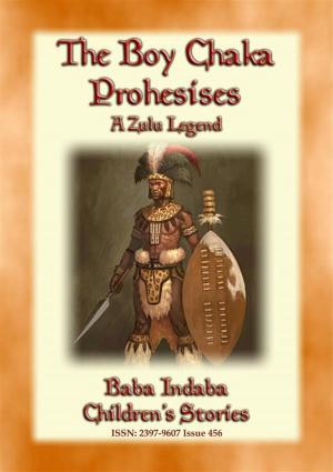 Book cover of THE BOY CHAKA PROPHESIES - A Zulu Legend