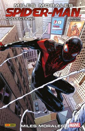 Cover of the book Miles Morales: Spider-Man Collection 10 (Marvel Collection) by Ed Brubaker, Luke Ross, Butch Guice, Steve Epting