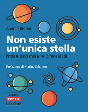 Cover of the book Non esiste un'unica stella by Margherita Riccio