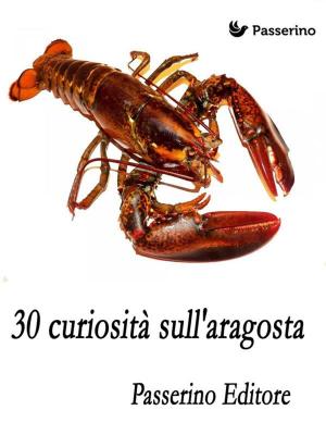 Cover of the book 30 curiosità sull'aragosta by Emilio Salgari