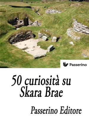 Cover of the book 50 curiosità su Skara Brae by Antonin Artaud