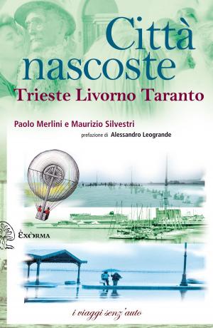 Cover of the book CITTA' NASCOSTE by Emmet Mc Mahon