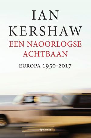 Cover of the book Een naoorlogse achtbaan by Bies van Ede