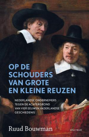 Cover of the book Op de schouders van grote en kleine reuzen by Dick Laan, Suzanne Braam