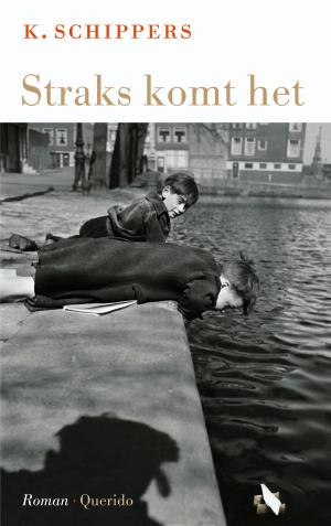 Cover of the book Straks komt het by Pieter Waterdrinker
