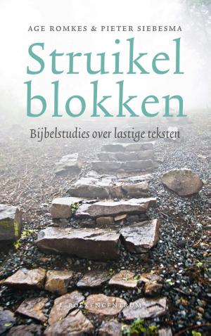 Cover of the book Struikelblokken by Ria van der Ven-Rijken
