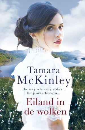 Cover of the book Eiland in de wolken by Marinus van den Berg