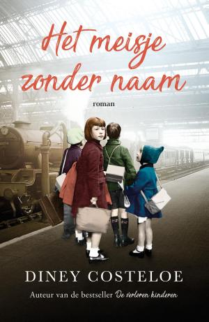 Cover of the book Het meisje zonder naam by Theo van den Heuvel