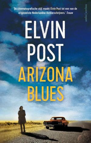 Cover of the book Arizona blues by Dominique Vincent