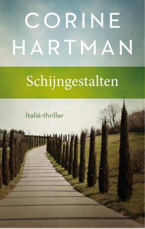 Cover of the book Schijngestalten by Pierre BASSOLI