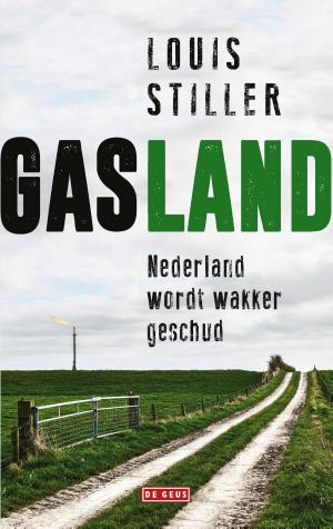 Cover of the book Gasland by Håkan Nesser