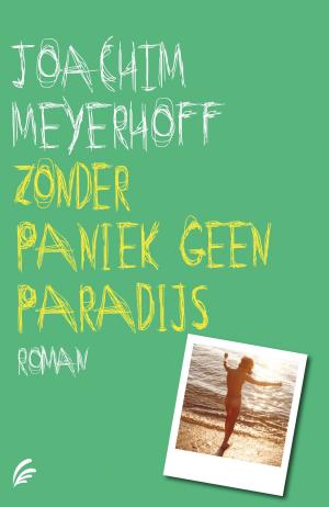 Cover of the book Zonder paniek geen paradijs by Damon L. Wakes