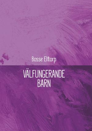 Cover of the book Välfungerande barn by Frank C. Haddock