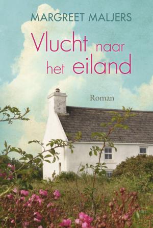 Cover of the book Vlucht naar het eiland by Willem van der Meiden, Anne van der Meiden