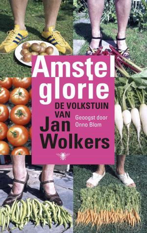 Cover of the book Amstelglorie by Hjorth Rosenfeldt