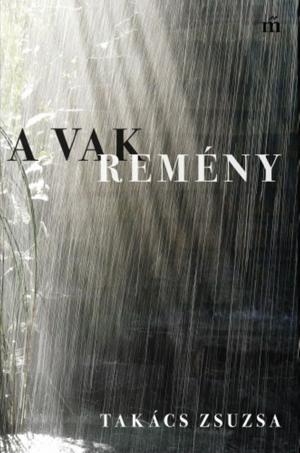 Cover of the book A Vak Remény by Michel Houellebecq, Bernard-Henri Lévy