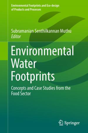 Cover of the book Environmental Water Footprints by Zujie Fang, Haiwen Cai, Gaoting Chen, Ronghui Qu