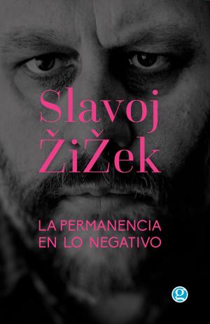 Book cover of La permanencia en lo negativo
