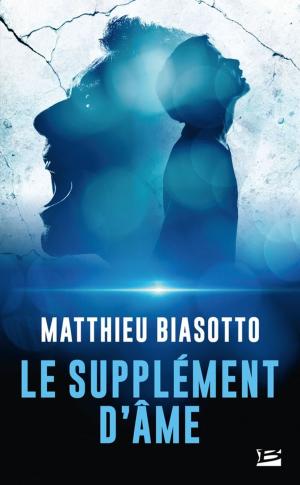 Cover of the book Le supplément d'âme by Francois Dionne