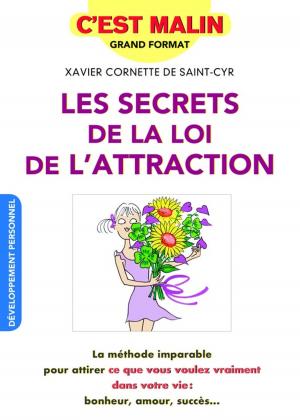 Cover of the book Les secrets de la loi de l'attraction, c'est malin by Catherine Dupin, Anne Dufour