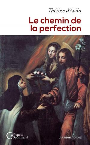 Cover of the book Le chemin de la perfection by Jason Evert, Père Daniel-Ange