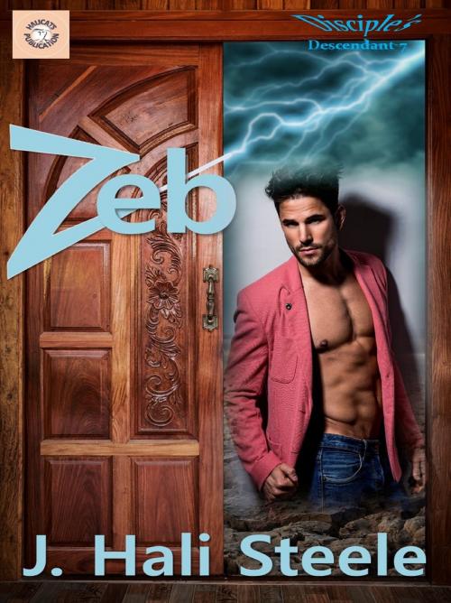 Cover of the book Zeb by J. Hali Steele, Halicats Publication