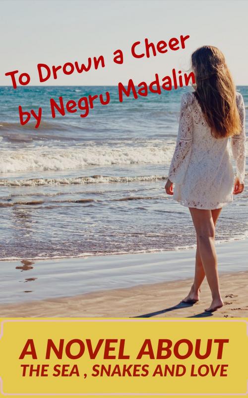 Cover of the book To Drown a Cheer by Madalin Negru, Madalin Negru
