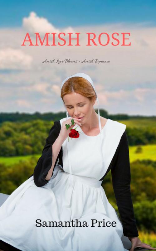 Cover of the book Amish Rose by Samantha Price, Samantha Price
