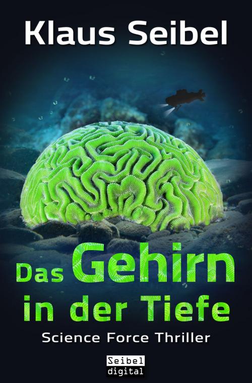 Cover of the book Das Gehirn in der Tiefe by Klaus Seibel, Seibel digital