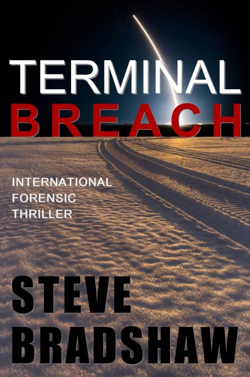 Cover of the book Terminal Breach by Steve Bradshaw, Griffyn Ink