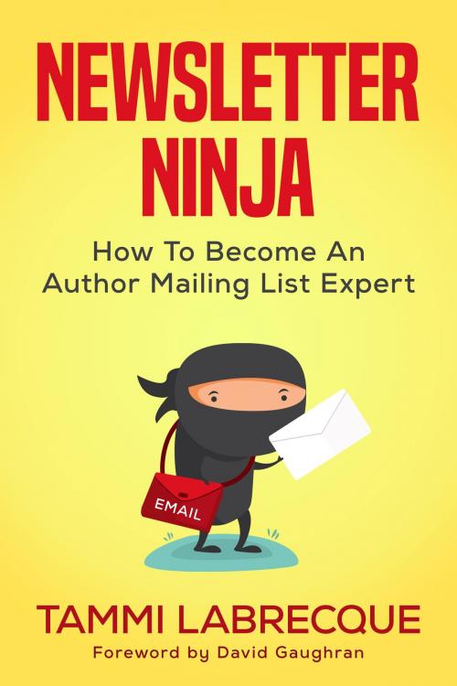 Cover of the book Newsletter Ninja by Tammi Labrecque, larks & katydids | Newsletter Ninja