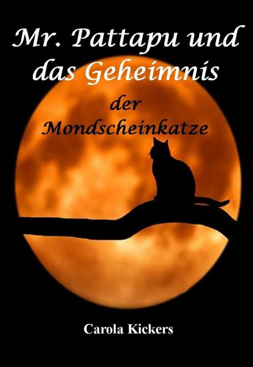 Cover of the book Mr. Pattapu und das Geheimnis der Mondscheinkatze by Carola Kickers, Carola Kickers