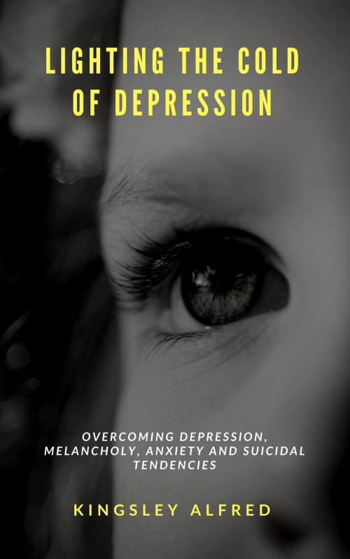 Cover of the book Lighting the cold of Depression by kingsley alfred, kobo