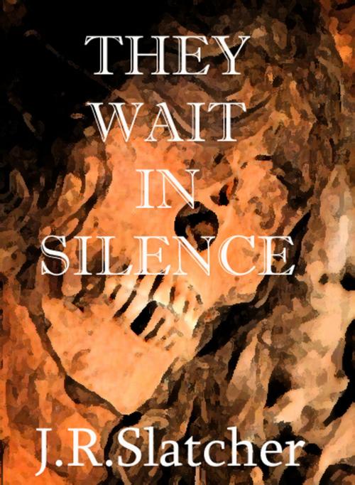 Cover of the book They Wait In Silence by J.R. Slatcher, Julian Slatcher