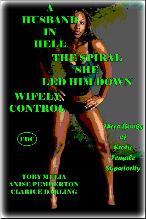 Cover of the book A Husband in Hell - The Spiral She Led Him Down - Wifely Control by Toby Melia, Anise Pemberton, Clarice Darling, SFPG Publications