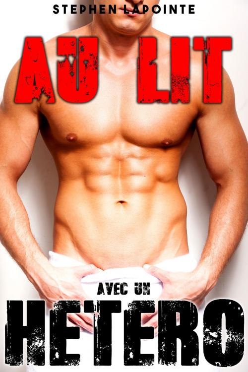 Cover of the book AU LIT avec un Hétéro by Stephen Lapointe, Stephen Lapointe