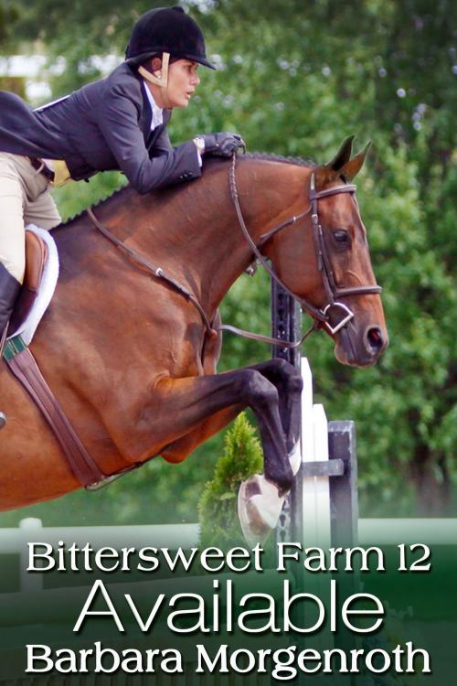 Cover of the book Bittersweet Farm 12: Available by Barbara Morgenroth, DashingBooks