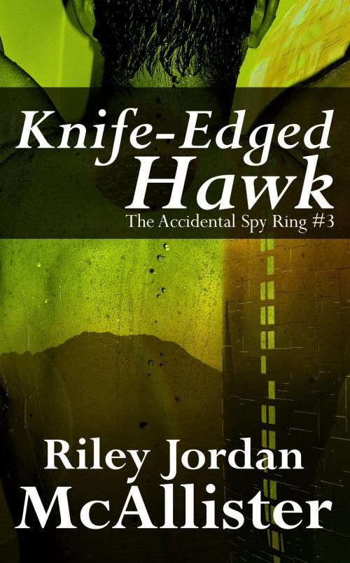 Cover of the book Knife-Edged Hawk by Riley Jordan McAllister, MDR Publishing